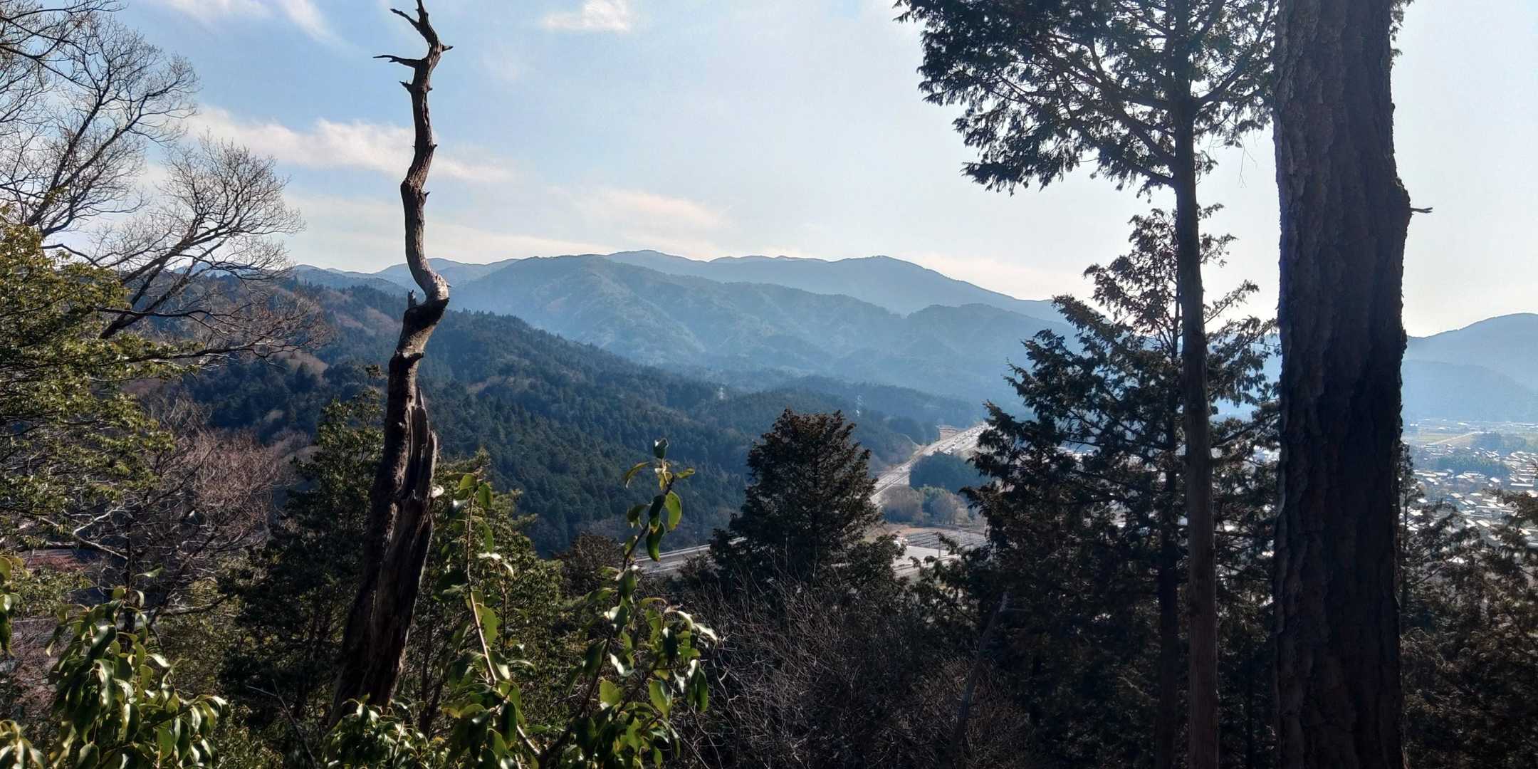霊仙山　