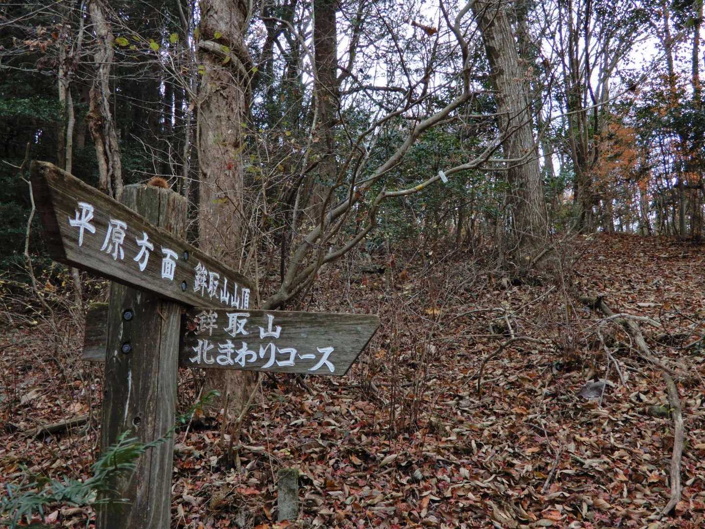 北まわりコースと合わさると