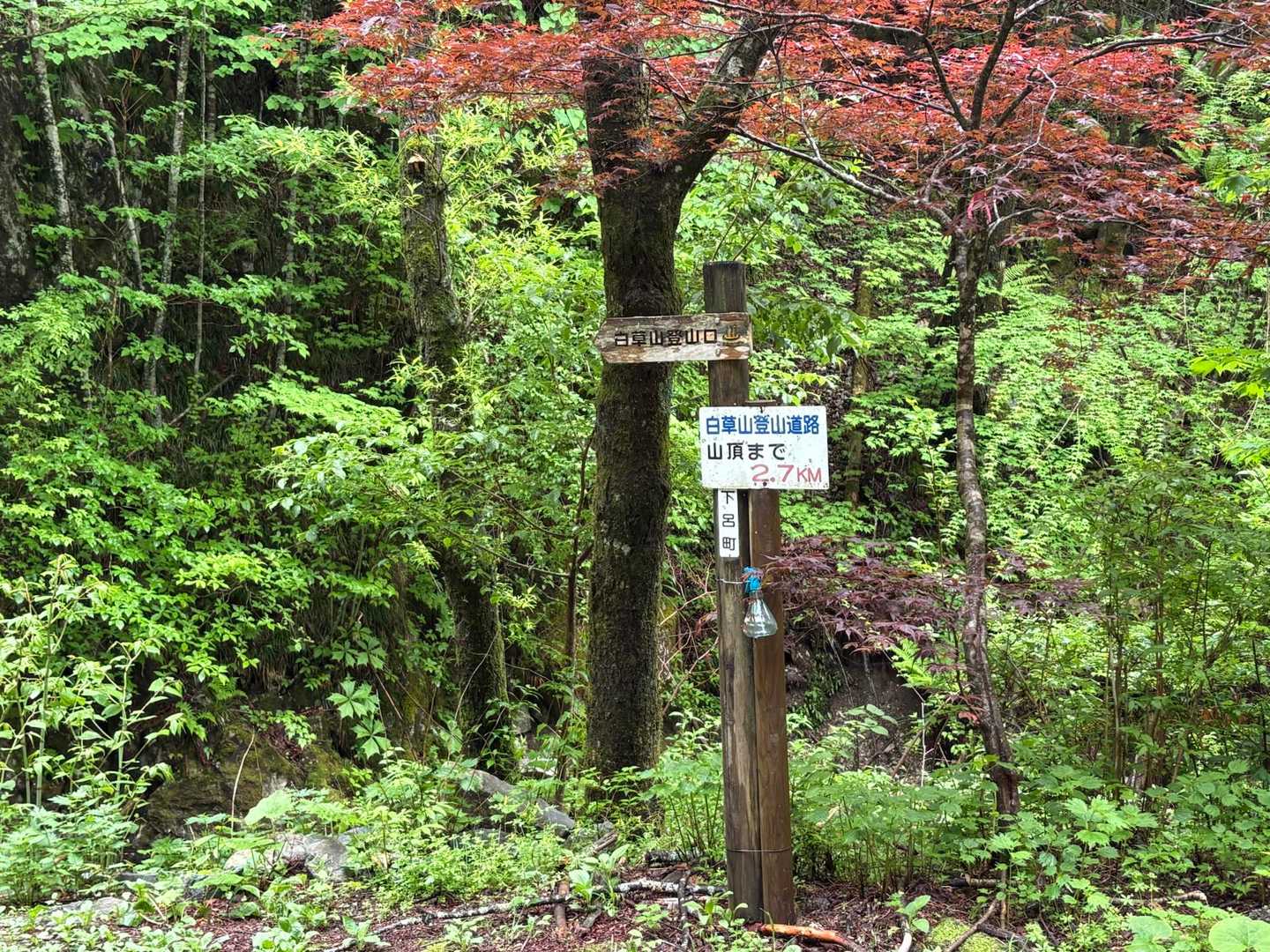 白草山登山口