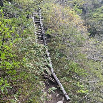 経ヶ岳・法恩寺山 はしご