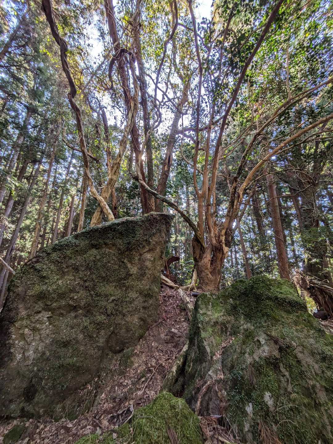 大きな岩がゴロゴロ