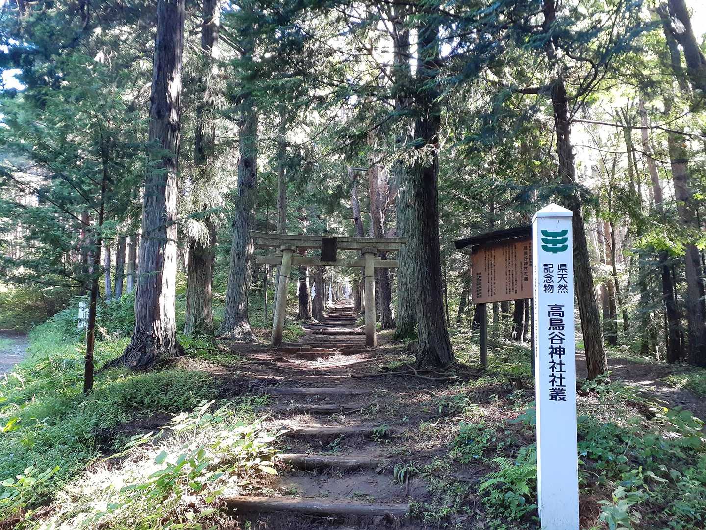 高鳥谷神社からスタート
宜しくお願いします🙇⤵️