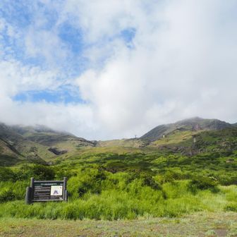 今回は、タクシーを使って仙酔峡登山口から！
バスだと帰りのバス便に間に合うか怪しく、苦肉の出費。。