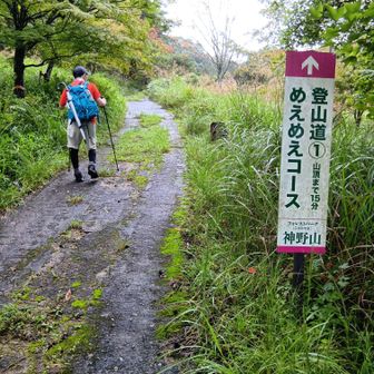そろそろめえめえコース目指します