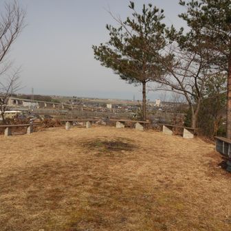 ベンチがいっぱい
とても愛されている山のようです