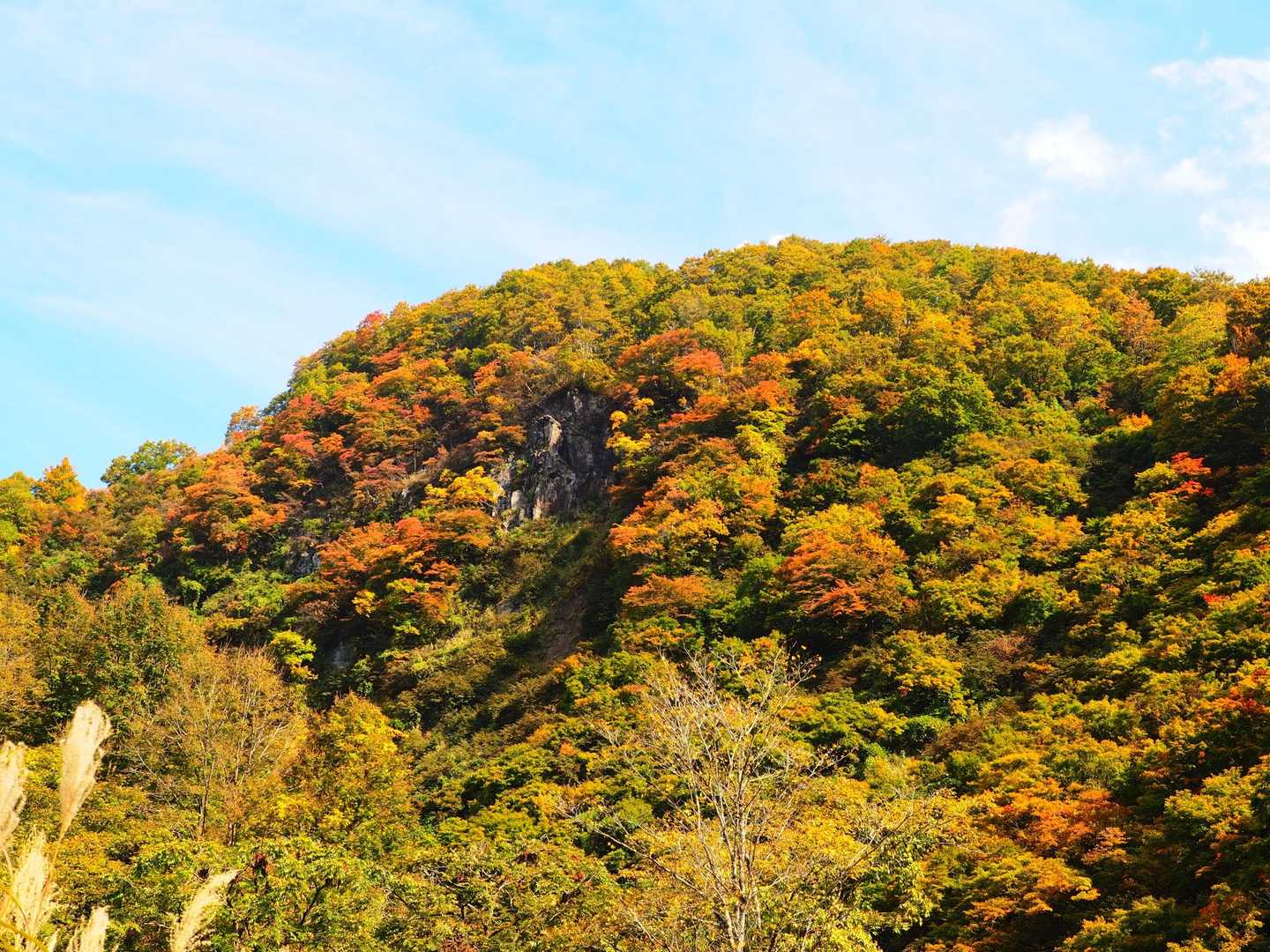 守門岳（二口駐車場）＜二口コース＞の写真