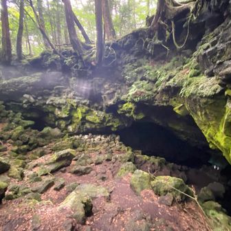 入洞はできないけど穴に下りる事は可能。ここも温度差のある空気層が見て取れる