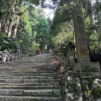 最後の階段