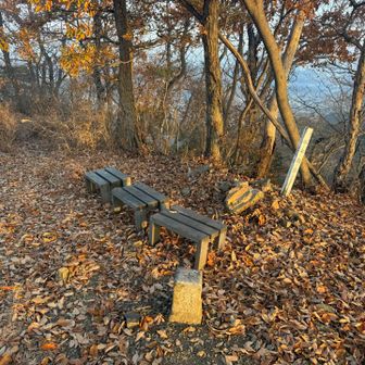6.高鳥屋山、朝日が登ってきたぁーって見てて山頂碑探し忘れ。