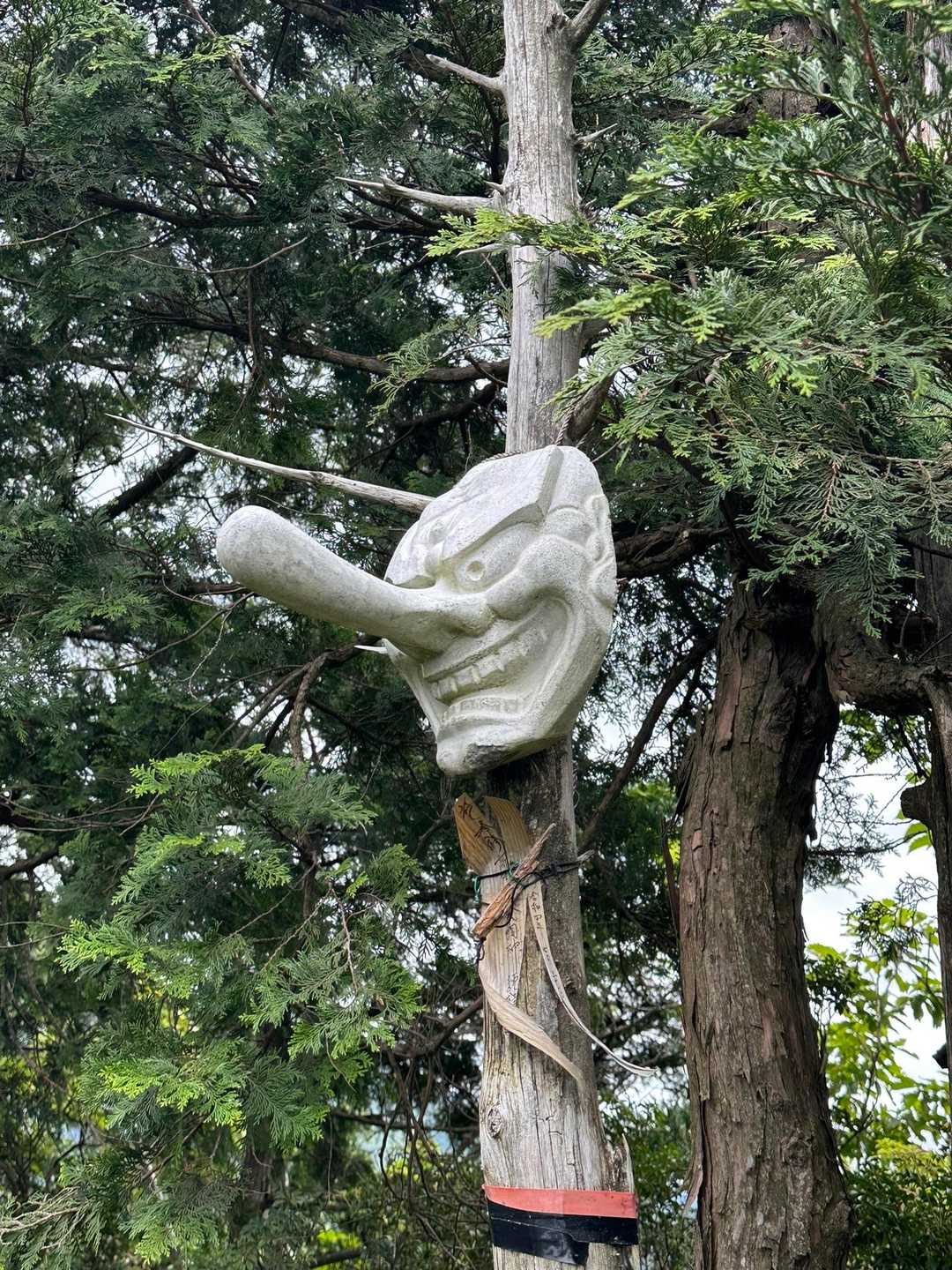 角度を変えて
良いねぇ😁