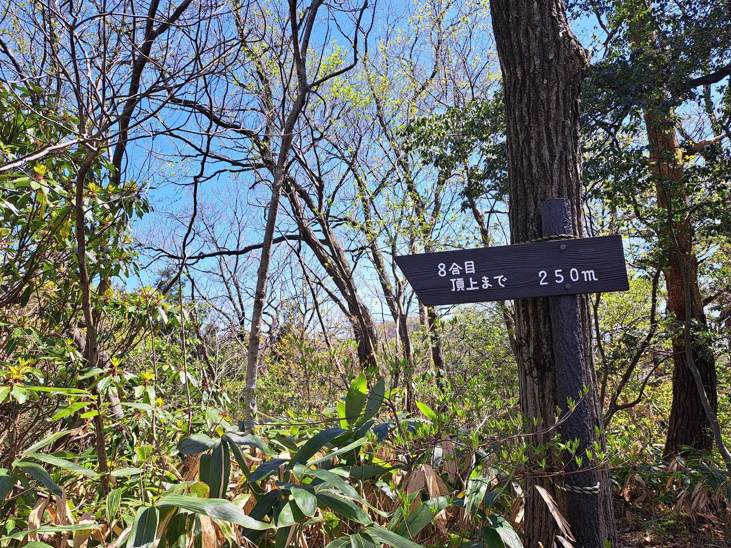 さて、下ろう✊️

こちら側にはこんな看板あったんだね？！
というか、逆回りしてたのか(笑)