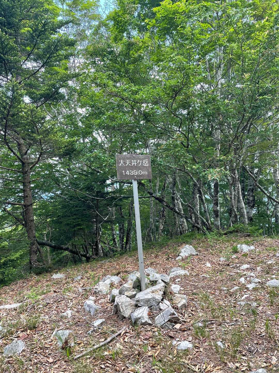 山頂に…眺望は無いです。

吉野から来た二人組が…　今日は小笹ノ宿までとのこと…健脚。