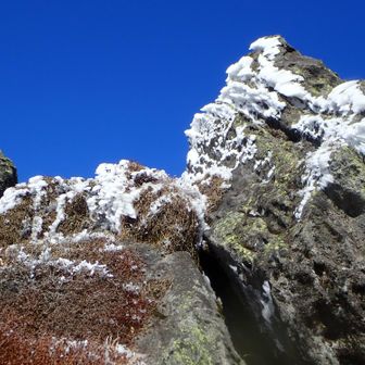ここにもエビの尻尾❄️
ここで風避けて昼食🍜