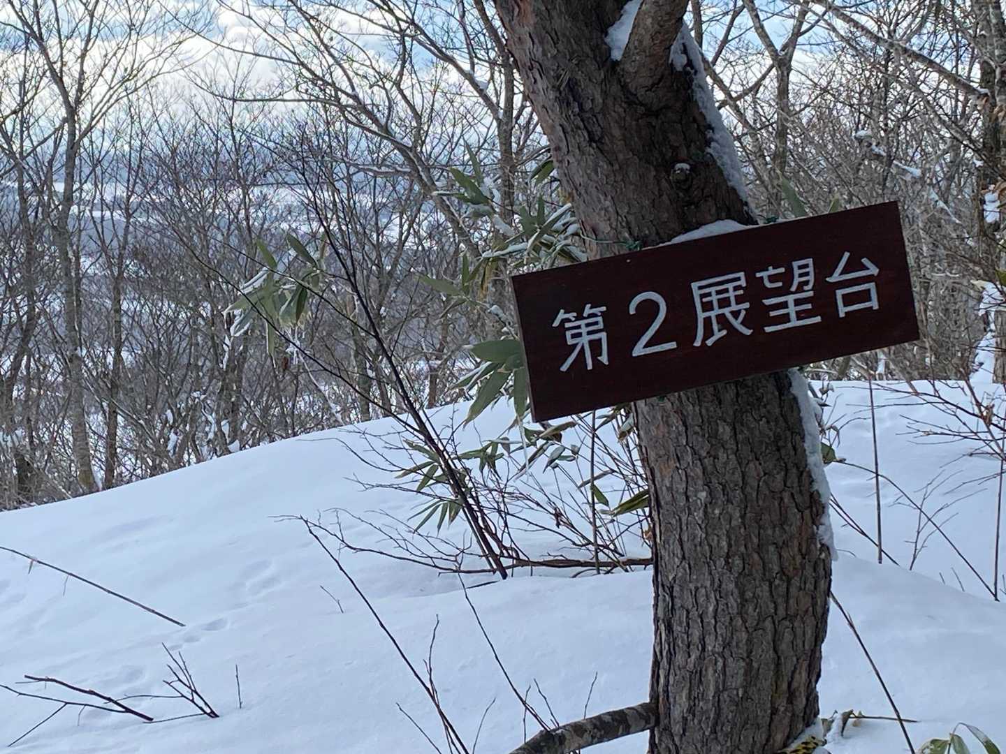 鞍掛山 往復コースの写真