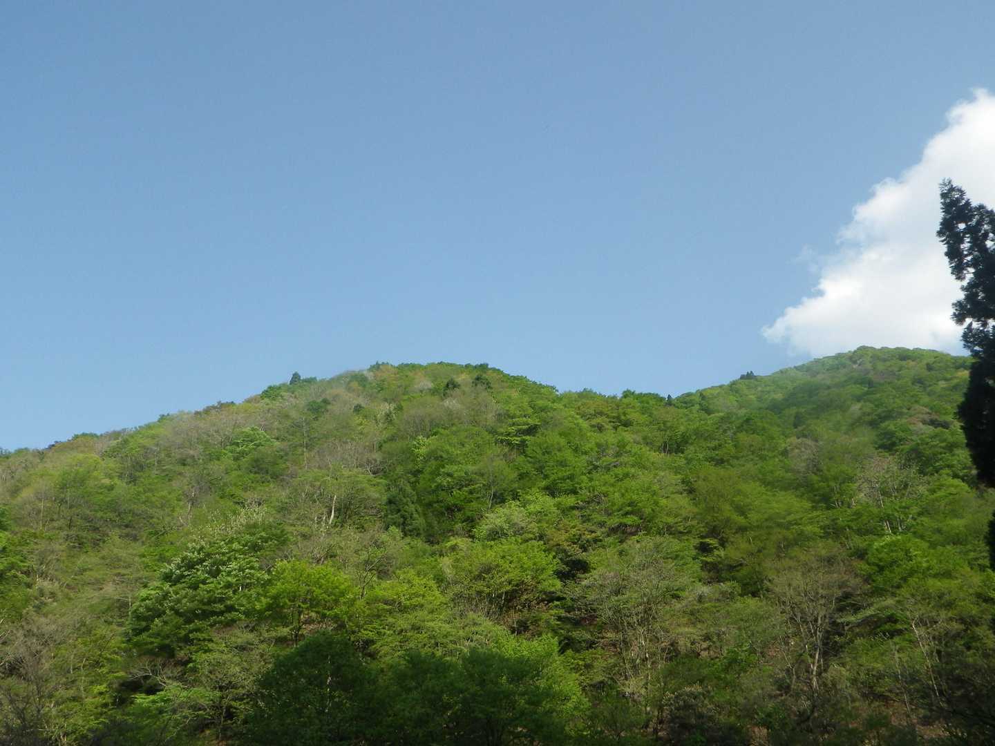 三川権現社-三川山 周回コースの写真