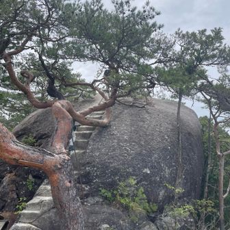こちら登りたかったのですが、どうしても息子のOKが出ず…「そっち行かないで（何かあったら心配🥺）」と頑なだったので、息子の声を聞いて戻りました