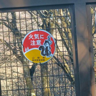 リスちゃん発見😍