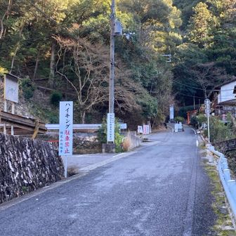 戻って来ました