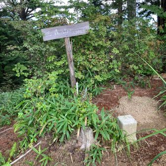 三森山山頂　1100.3m三角点
ガスで展望無し。