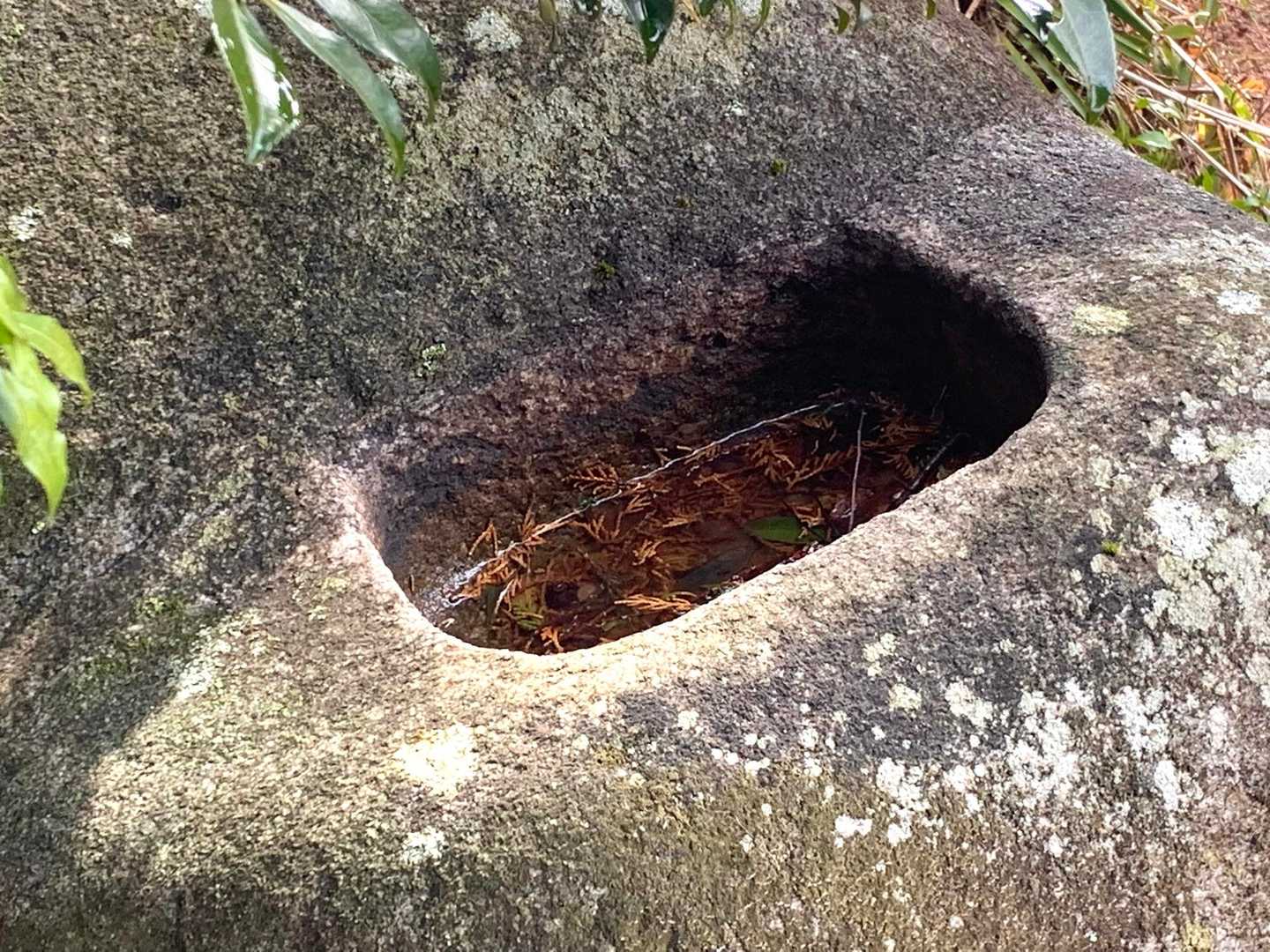 小さな手水鉢

なんか風流❗️