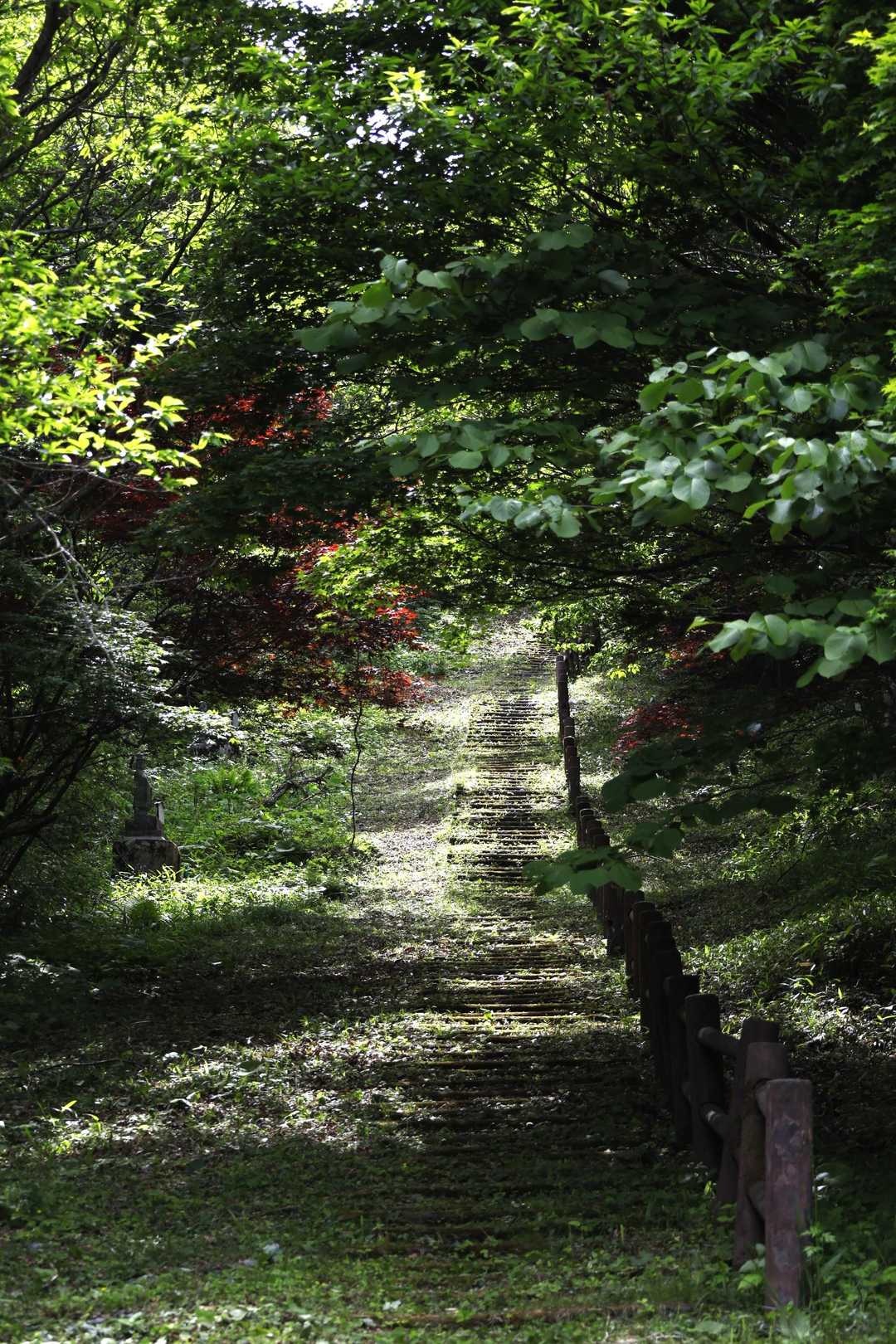登り坂の先は山頂⛰️