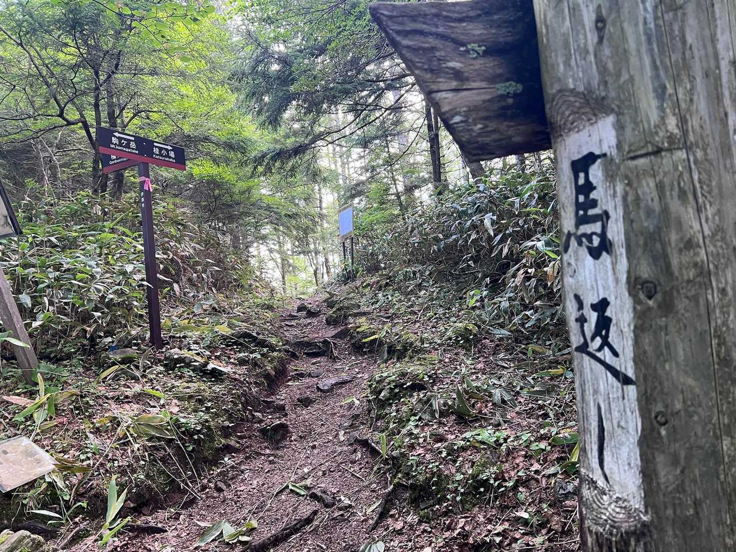馬返し🐴こちらはヒィヒィ〜ン😵