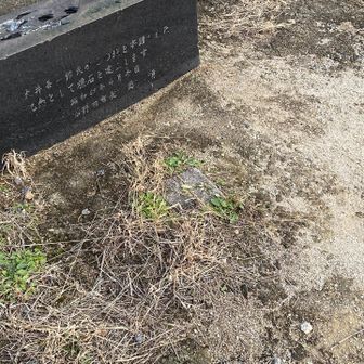 あっ後ろに三角点あった。