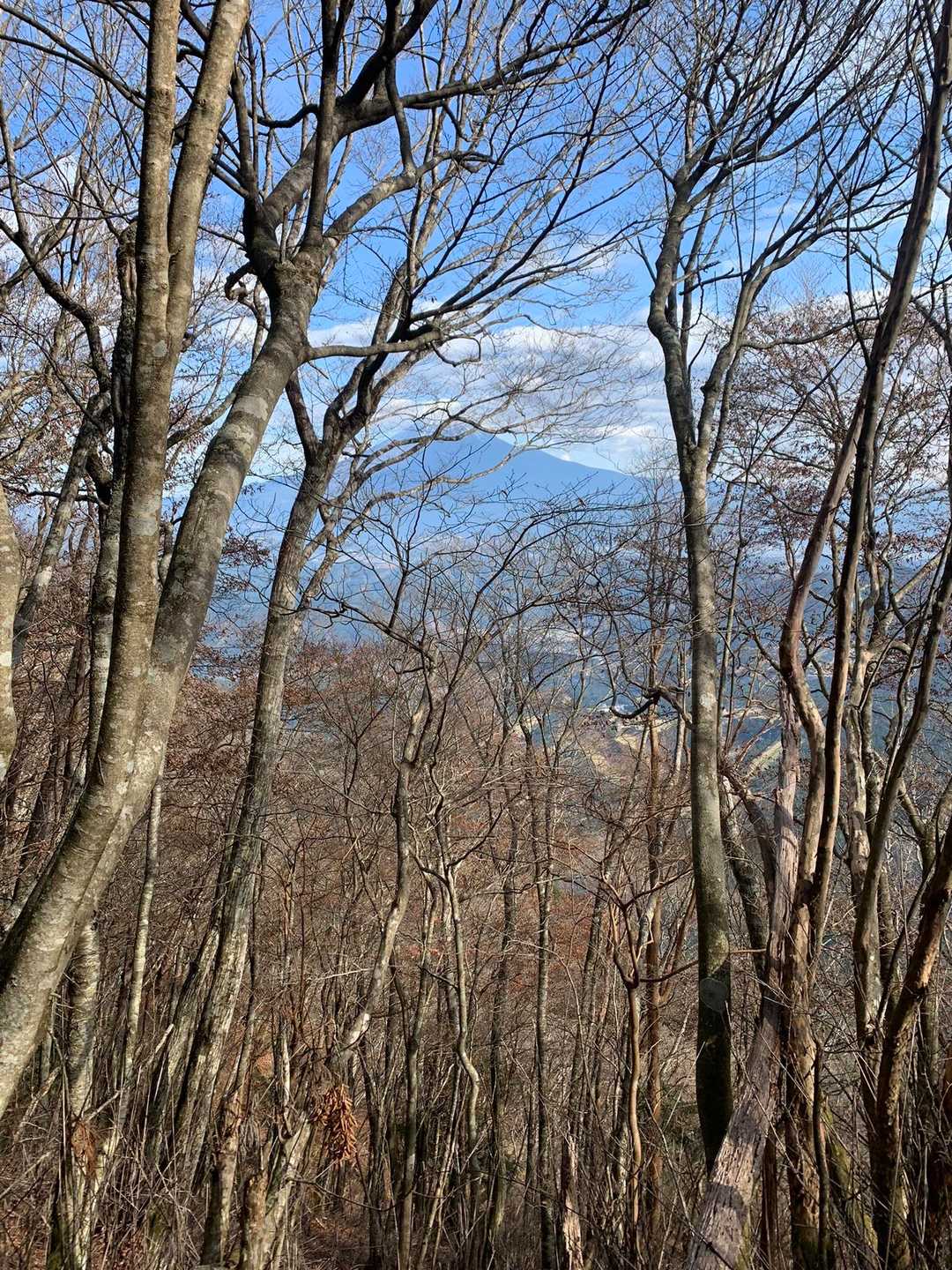 樽峠登山口-樽峠-平治ノ段-貫ヶ岳 往復コースの写真