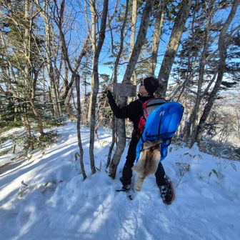 この山頂標識が付けられた年に流行った山だがその微妙な意匠になかなか足が向かなかった