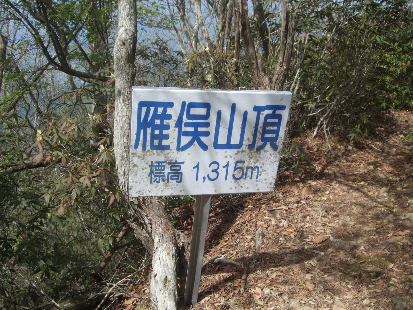 進むと指標がもう一つありました。