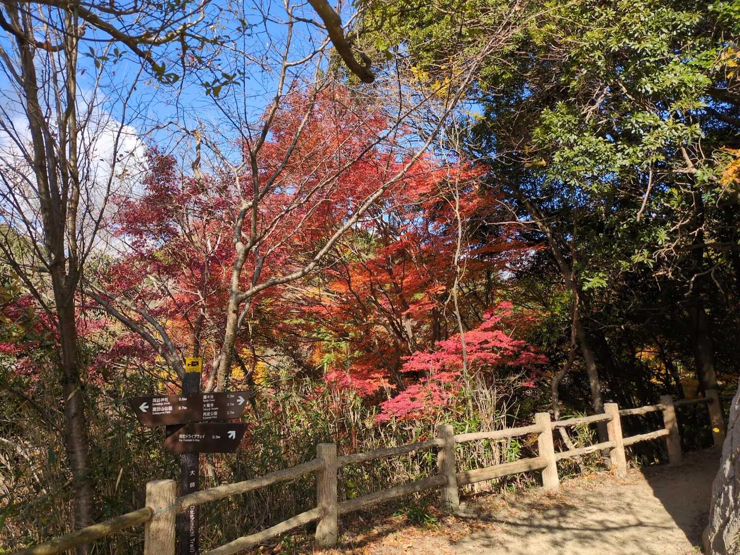 諏訪神社-市章山 往復コースの写真