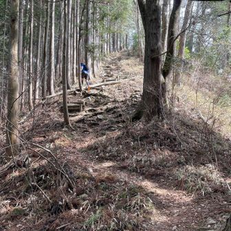 時々くる登り返しがキツい。
お腹空いて、グーグー言ってるから、
ここ登ったら、お昼ごはんにするんだ。