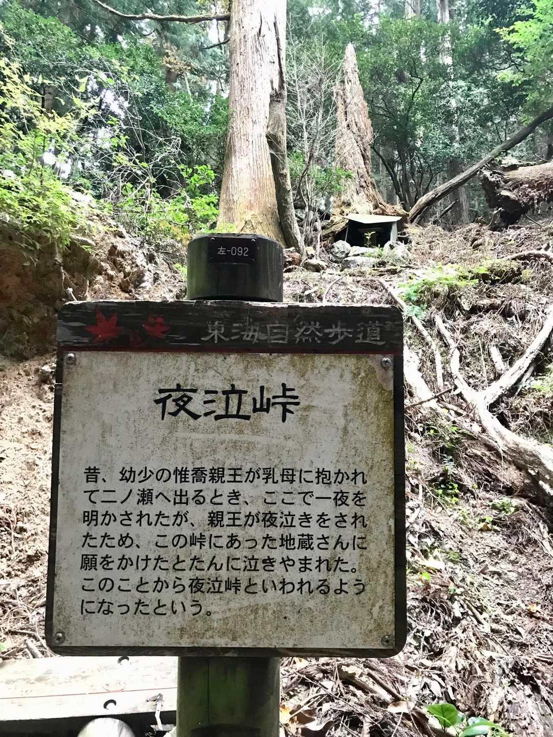 夜泣峠-向山-ポイント 縦走コースの写真