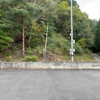 いくつかある子の権現の駐車場の一つみたいです