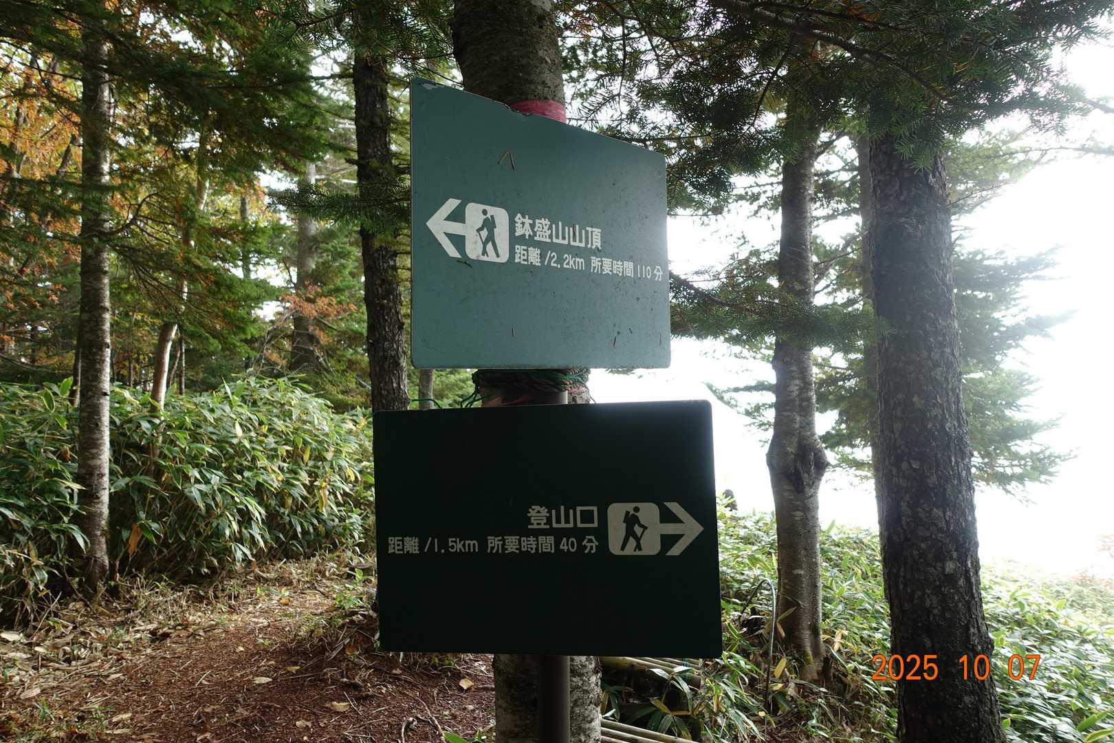 鉢盛山 往復コースの写真