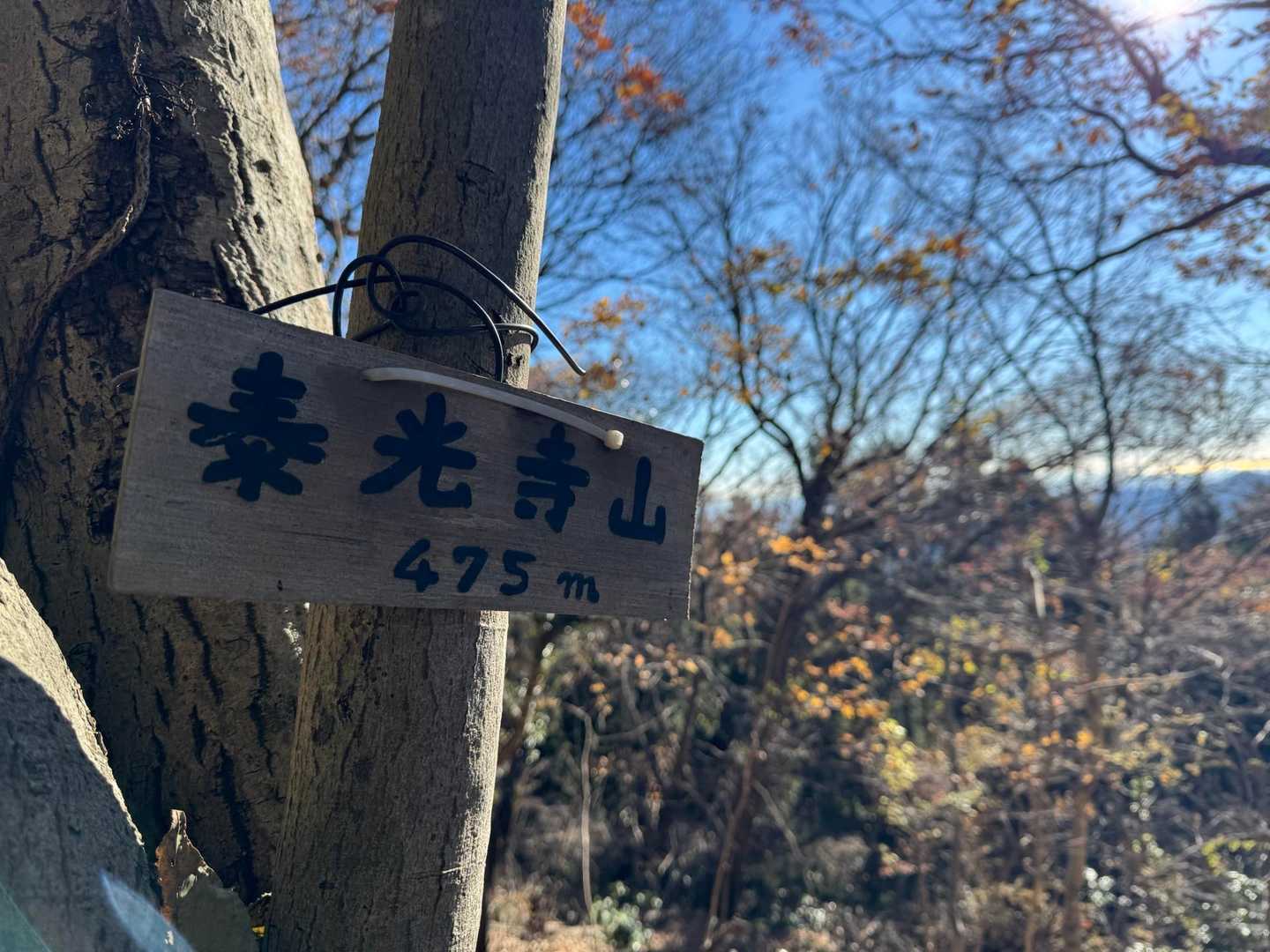 泰光寺山⛰️
結構な時間を割いて探したけどかわいい子見つからず💦