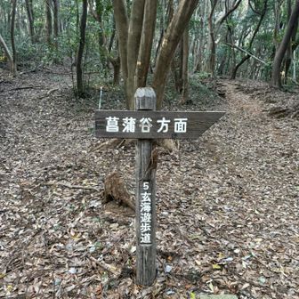 藤ノ木越。ここが本当の峠。