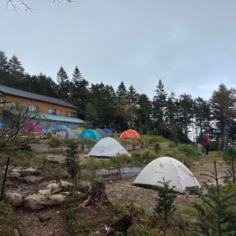 三伏のテント⛺️は賑わってますね🤭