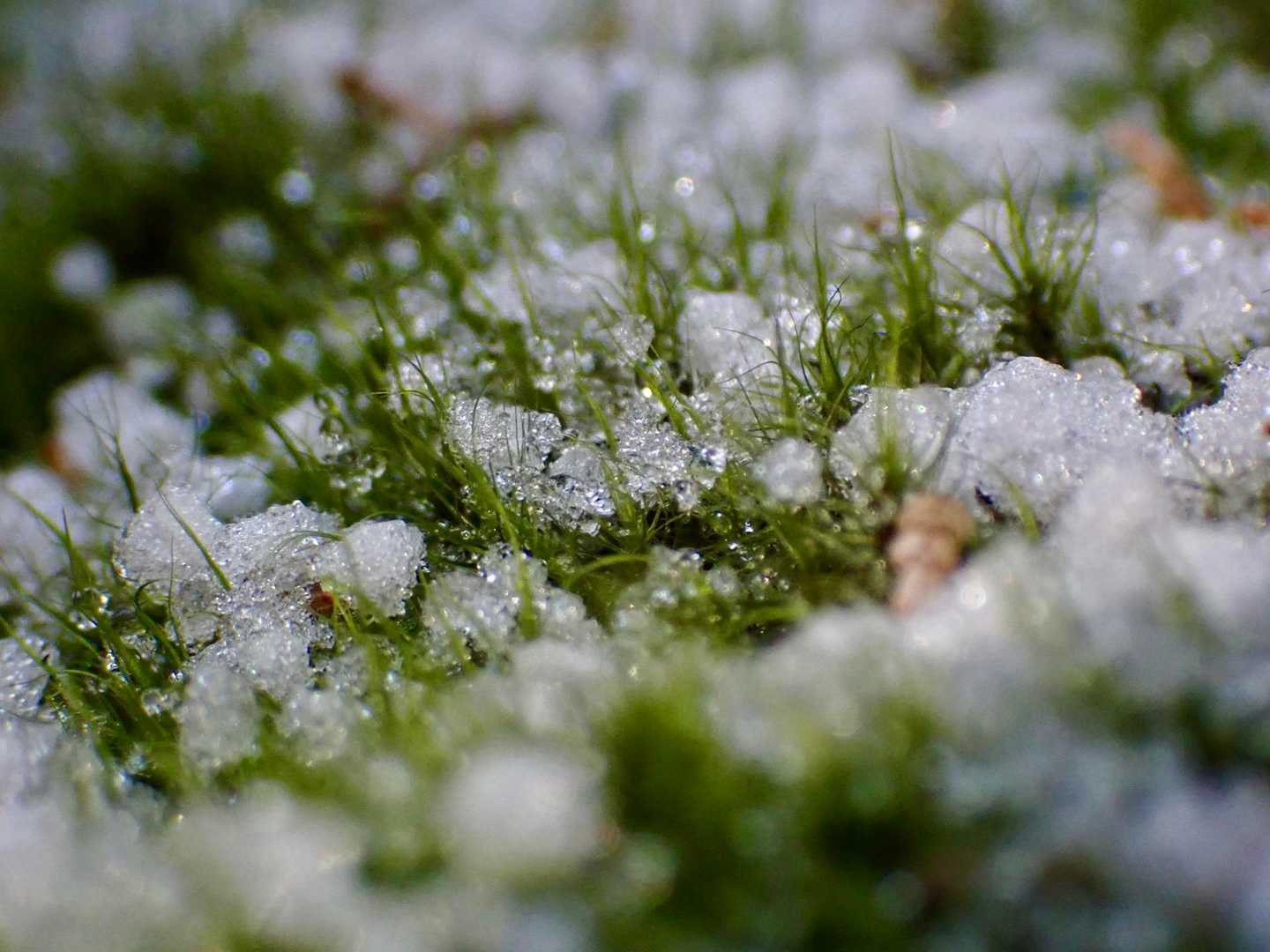 ✨ 雪と言うより霰かな?
