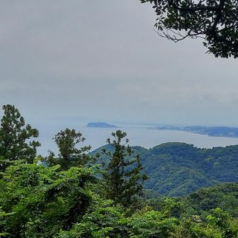 江ノ島が見える所でNHKのど自慢を聞きながらランチ、上の方にトンビ？が飛んでいたので食べ物が見えないようにしました