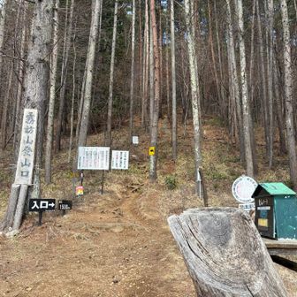 時間的に短いらくらくコースの登山口…と思いきや