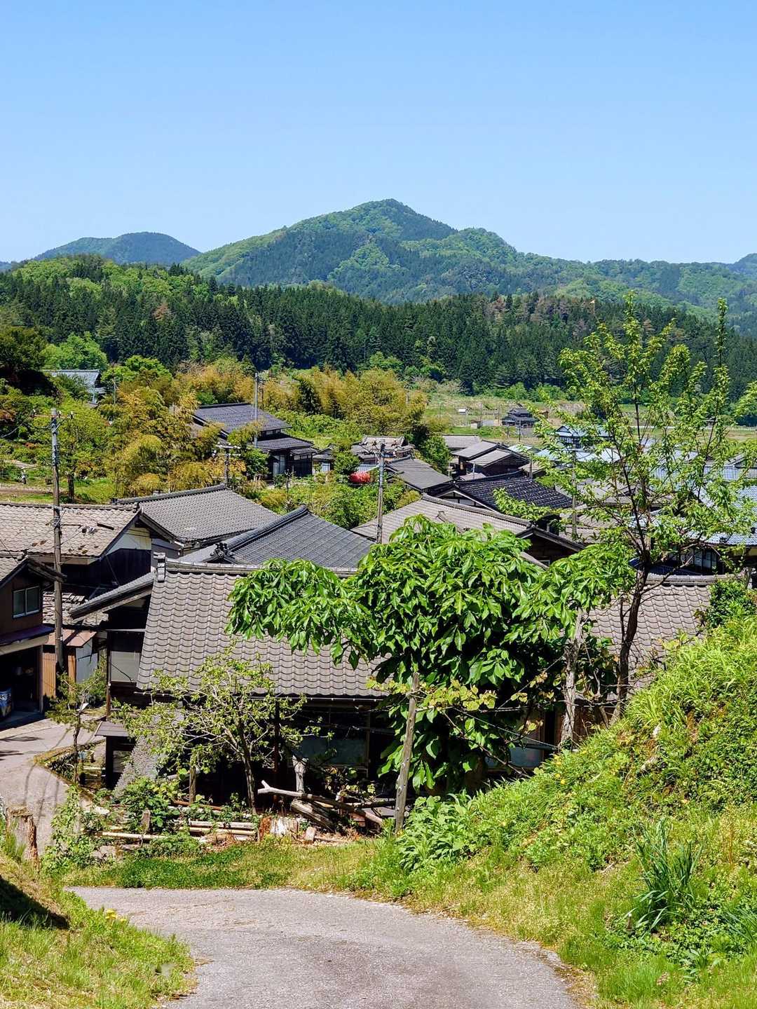 あの山は？
これから登る天蓋山かなぁ⁉️