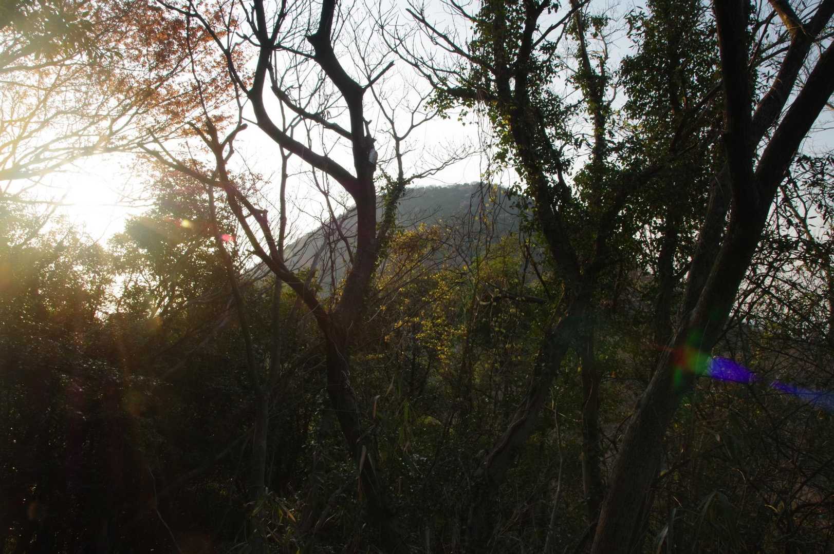 紫雲出山山頂が登場