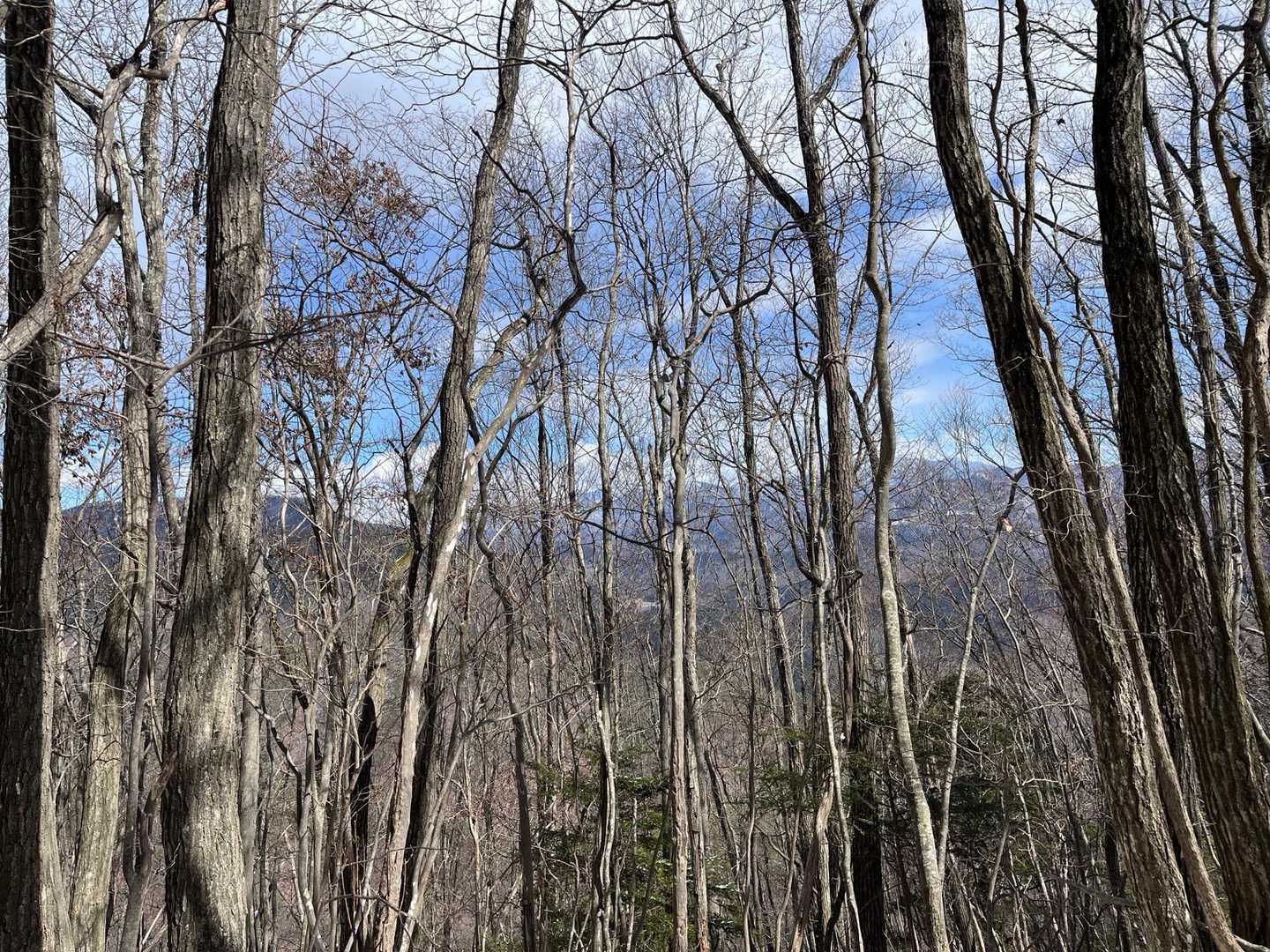 東峰山頂、見えずらいけど金峰山〽️