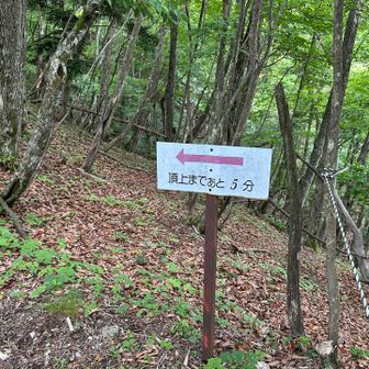 長かった鎖場終わった😮‍💨