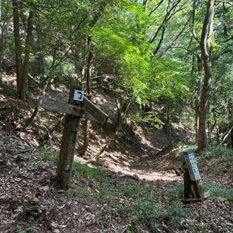 下山は余呉湖ルートです