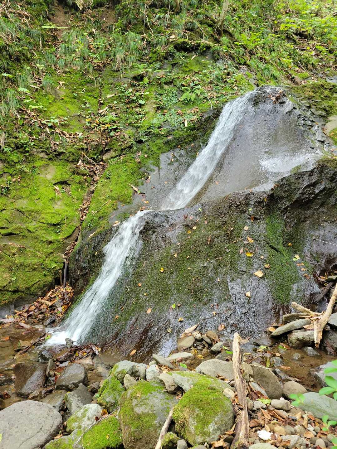 滑滝(若狭の滝)