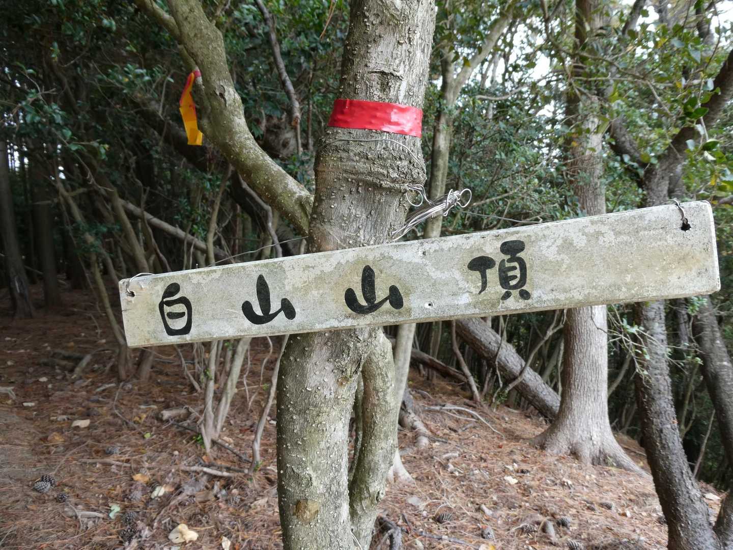 白山山頂
