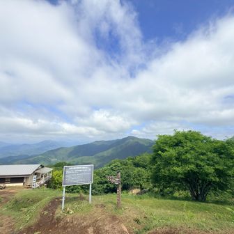 茶屋がまだ開いていなかったし、日向にはクマバチもいたので休憩せずに進むことに