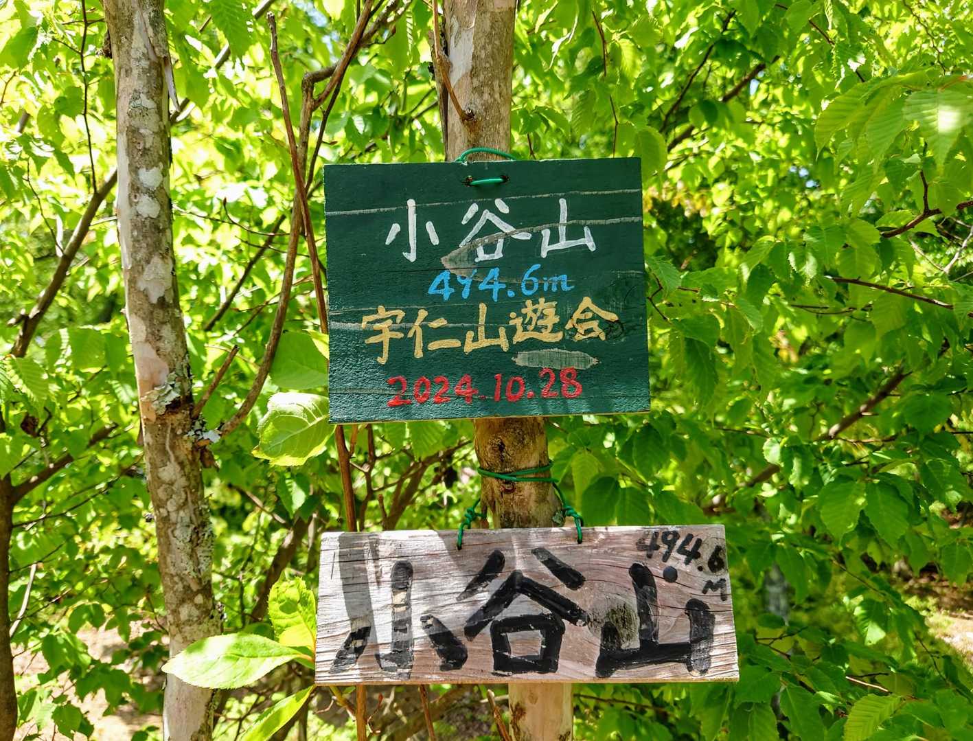 小谷山 周回コースの写真